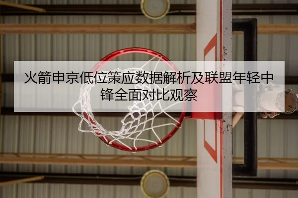 火箭申京低位策应数据解析及联盟年轻中锋全面对比观察